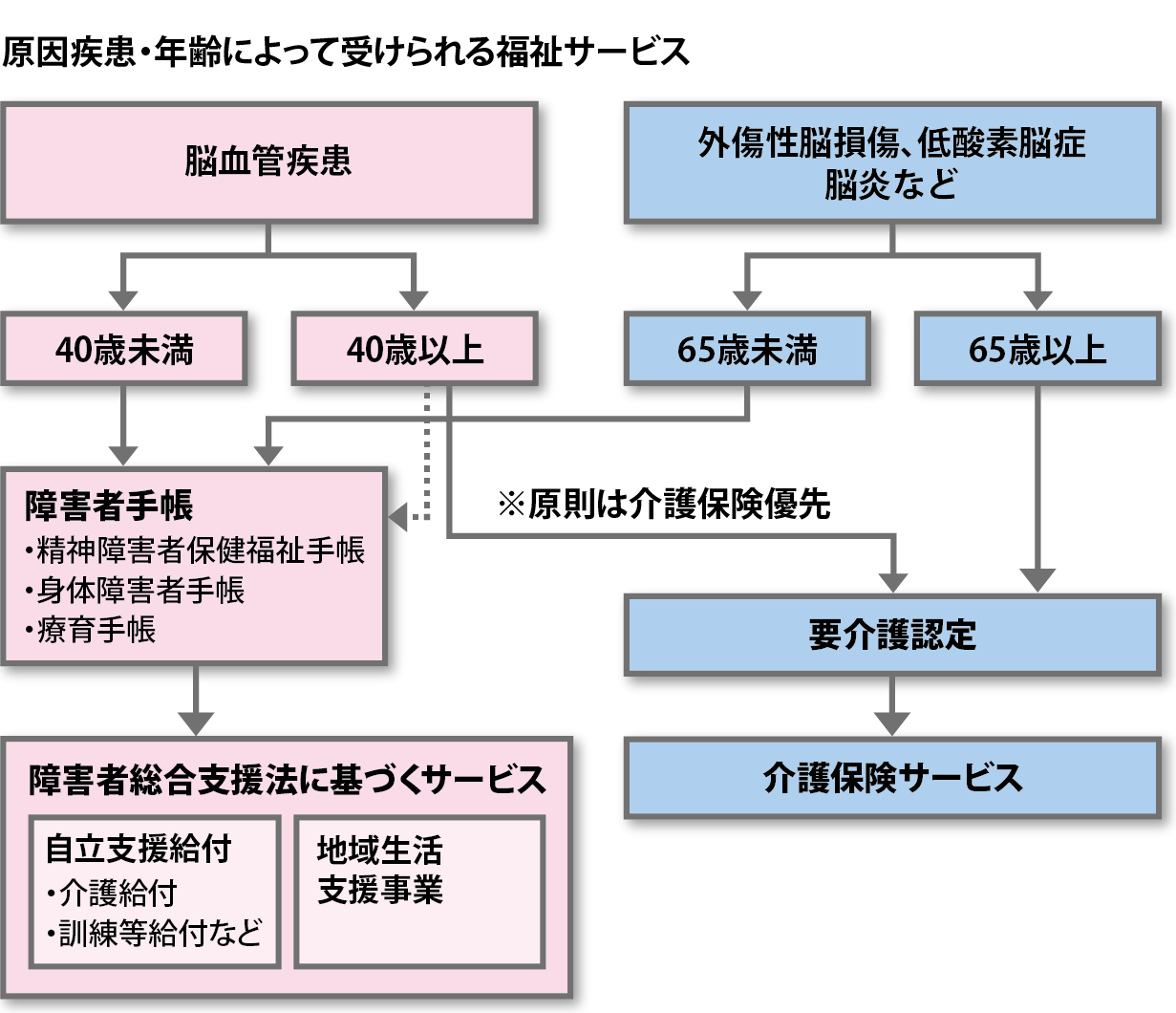 脳 と 機能 は 次 高 障害